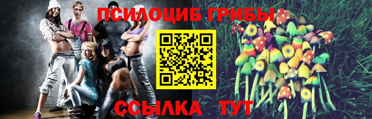 Тельмана  Галлюциногенные грибы мицелий  Вход с VPN 
