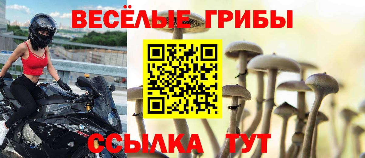 Галлюциногенные грибы Psilocybine cubensis Тельмана